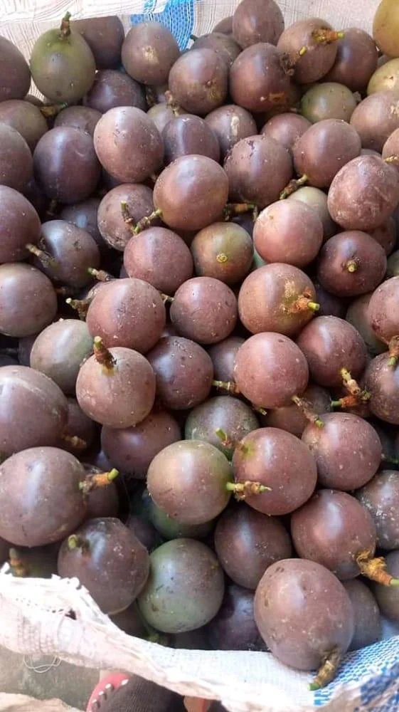 Passion Fruit